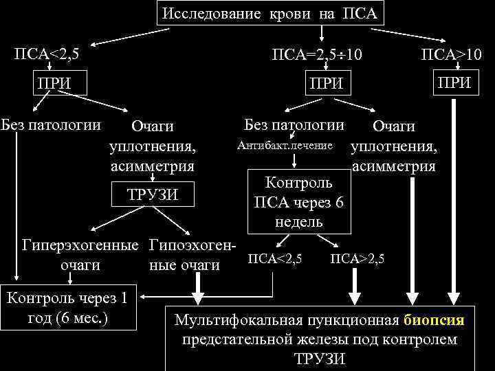 Исследование крови на ПСА<2, 5 ПСА=2, 5 10 ПРИ Без патологии ПСА>10 ПРИ Очаги