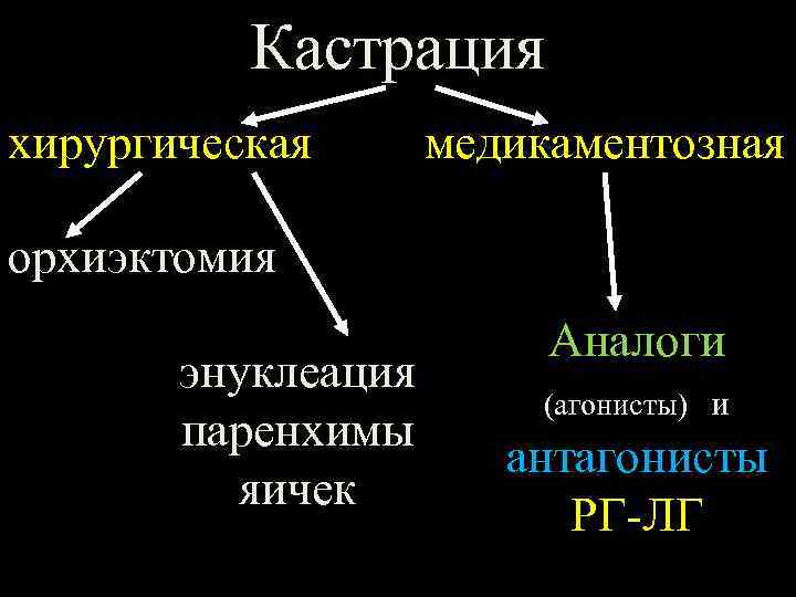 Кастрация хирургическая медикаментозная орхиэктомия энуклеация паренхимы яичек Аналоги (агонисты) и антагонисты РГ-ЛГ 