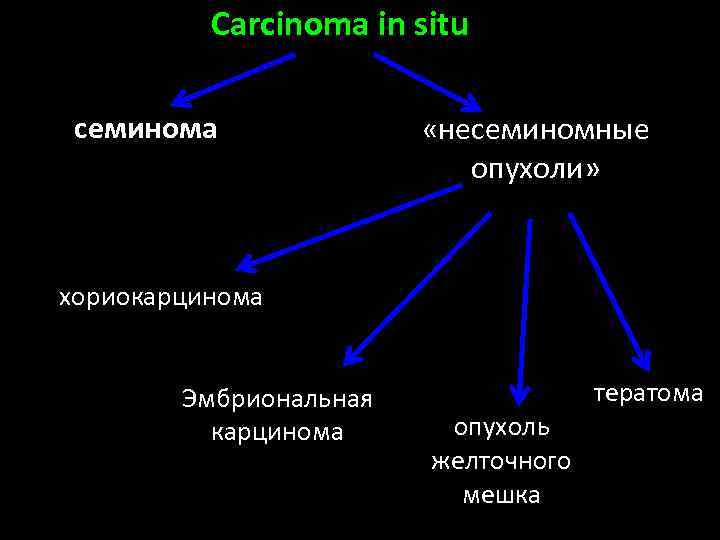 Carcinoma in situ семинома «несеминомные опухоли» хориокарцинома Эмбриональная карцинома опухоль желточного мешка тератома 