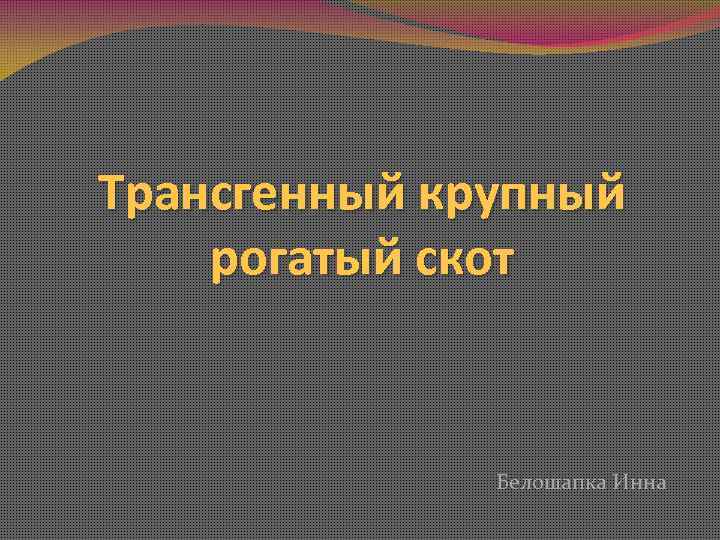 Трансгенный крупный рогатый скот Белошапка Инна 