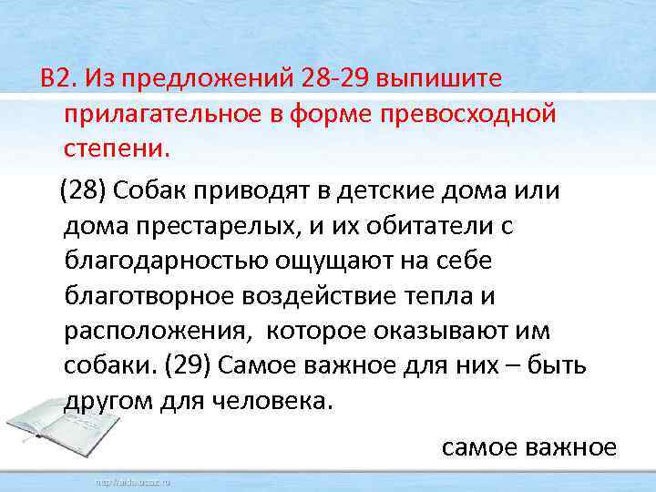 В 2. Из предложений 28 -29 выпишите прилагательное в форме превосходной степени. (28) Собак