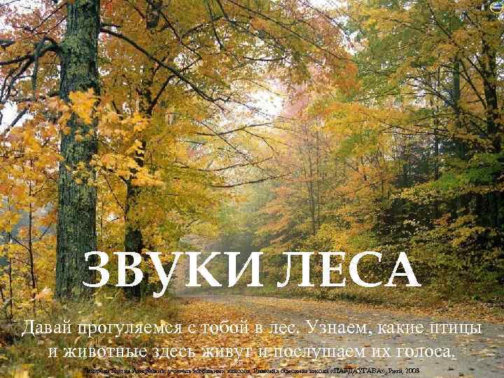 ЗВУКИ ЛЕСА Давай прогуляемся с тобой в лес. Узнаем, какие птицы и животные здесь