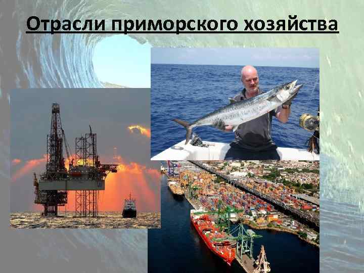 Отрасли приморского хозяйства 