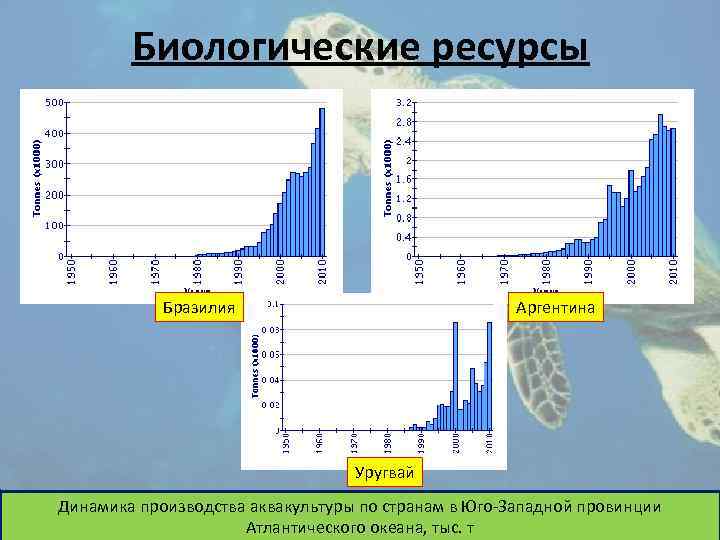 Биологические ресурсы Бразилия Аргентина Уругвай Динамика производства аквакультуры по странам в Юго-Западной провинции Атлантического