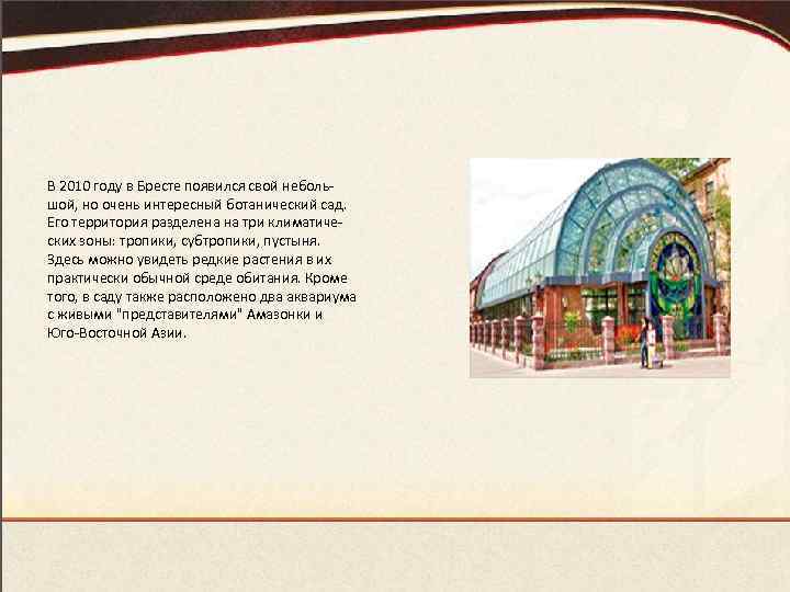 В 2010 году в Бресте появился свой небольшой, но очень интересный ботанический сад. Его