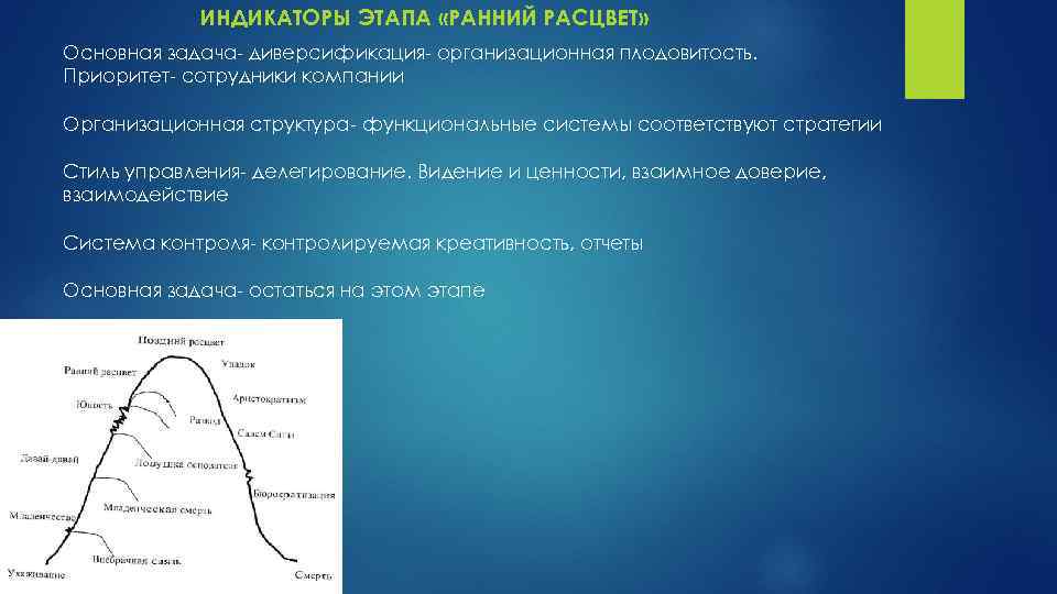 ИНДИКАТОРЫ ЭТАПА «РАННИЙ РАСЦВЕТ» Основная задача- диверсификация- организационная плодовитость. Приоритет- сотрудники компании Организационная структура-