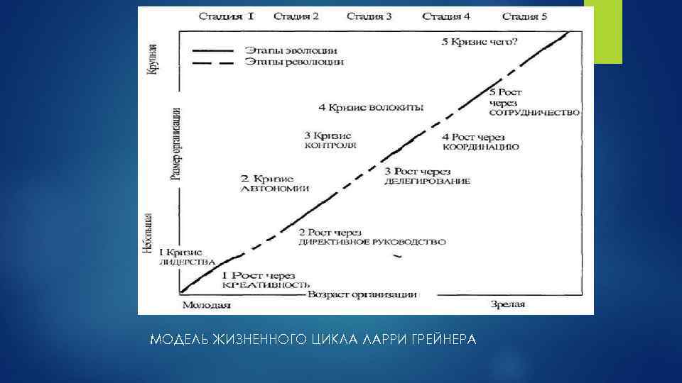 МОДЕЛЬ ЖИЗНЕННОГО ЦИКЛА ЛАРРИ ГРЕЙНЕРА 