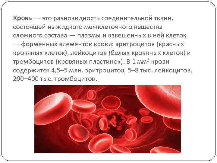 Кровь — это разновидность соединительной ткани, состоящей из жидкого межклеточного вещества сложного состава —