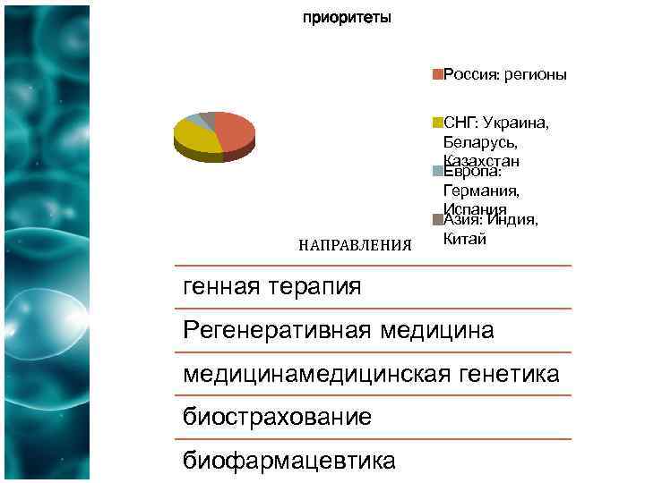 приоритеты Россия: регионы НАПРАВЛЕНИЯ СНГ: Украина, Беларусь, Казахстан Европа: Германия, Испания Азия: Индия, Китай