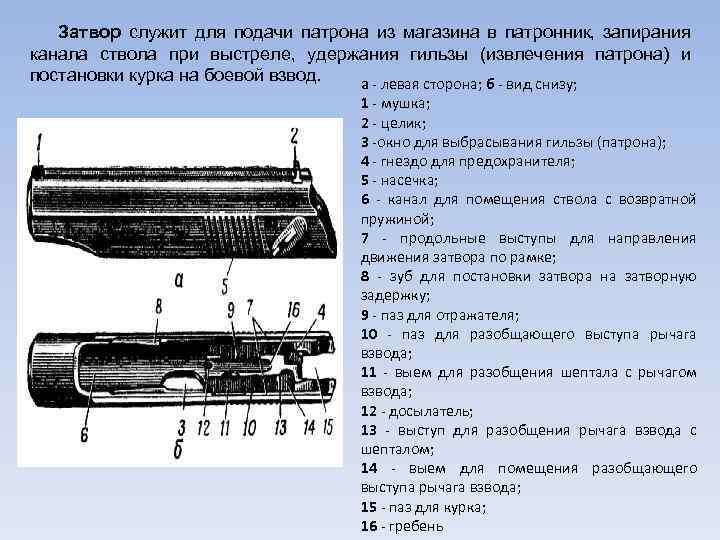 Затвор служит для подачи патрона из магазина в патронник, запирания канала ствола при выстреле,