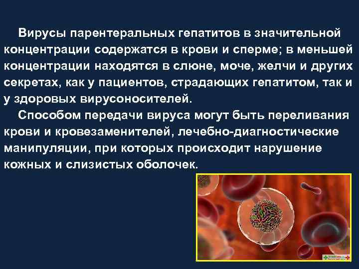 Вирусы парентеральных гепатитов в значительной концентрации содержатся в крови и сперме; в меньшей концентрации