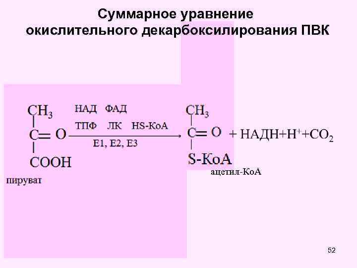 Суммарное уравнение окислительного декарбоксилирования ПВК ацетил-Ко. А 52 