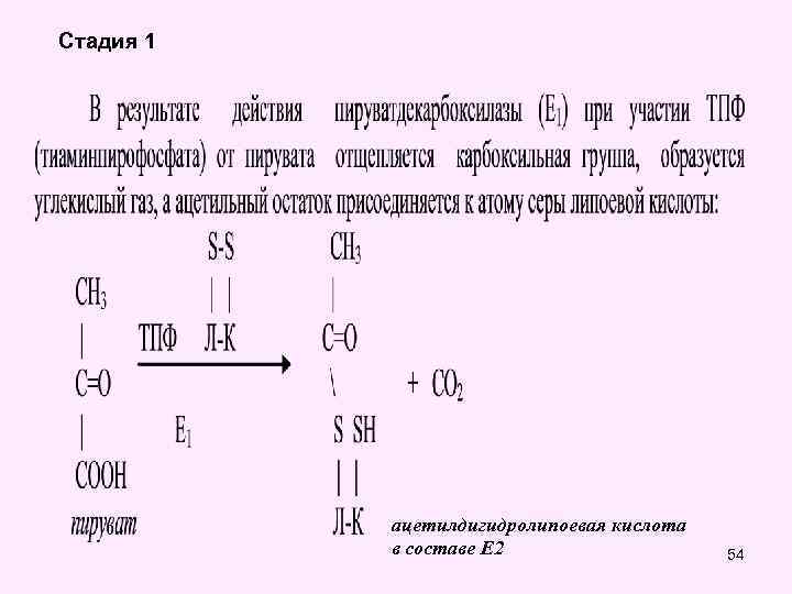 Стадия 1 ацетилдигидролипоевая кислота в составе Е 2 54 