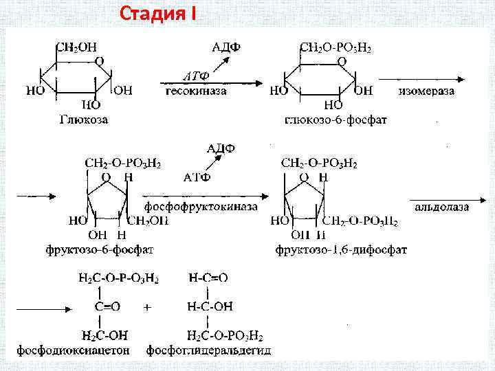 Стадия I 