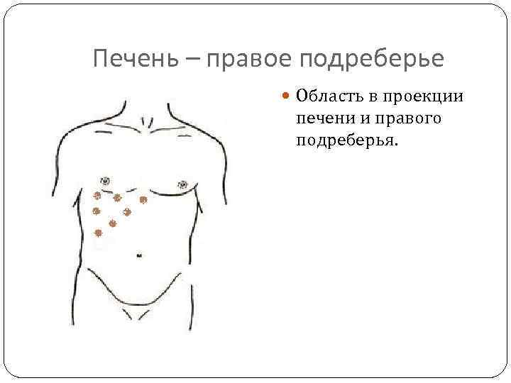 Печень – правое подреберье Область в проекции печени и правого подреберья. 