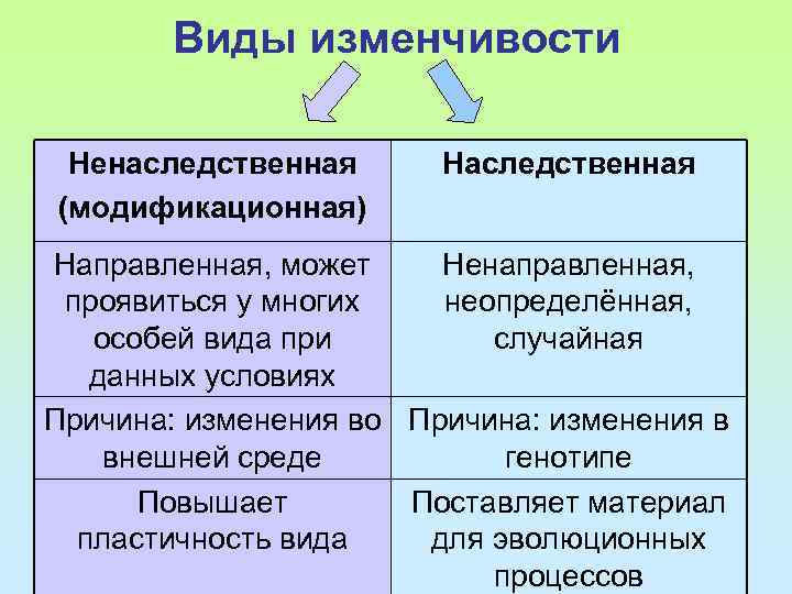 Изменчивость ненаследственная картинки