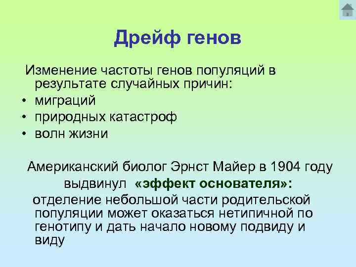 Дрейф генов Изменение частоты генов популяций в результате случайных причин: • миграций • природных