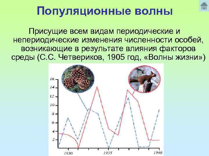 Популяционные волны Присущие всем видам периодические и непериодические изменения численности особей, возникающие в результате