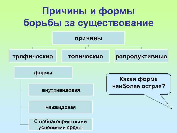 Причины и формы борьбы за существование причины трофические топические репродуктивные формы внутривидовая межвидовая С