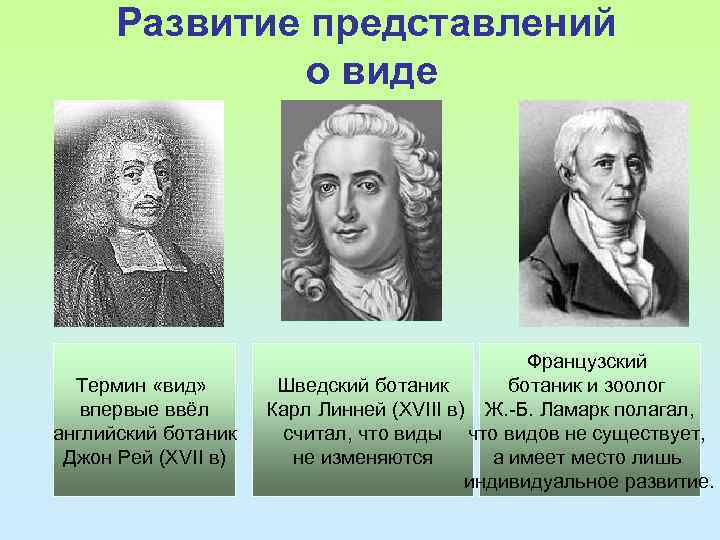 Сравнение теории ламарка. Ламарк Линней Дарвин таблица. Эволюция Линней Ламарк Дарвин таблица.