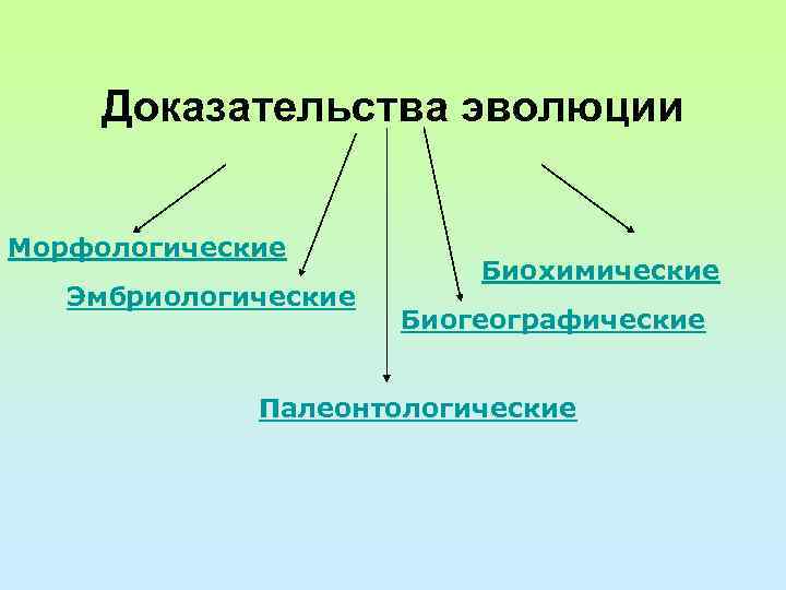 Доказательства эволюции Морфологические Эмбриологические Биохимические Биогеографические Палеонтологические 