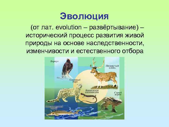 Эволюционное учение объясняет тест 9 класс. Процесс исторического развития живой природы. Эволюция это естественный процесс развития живой природы. Эволюционное учение 9 класс. Развитие эволюционного учения 9 класс презентация.