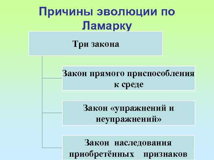 Причины эволюции по Ламарку Три закона Закон прямого приспособления к среде Закон «упражнений и