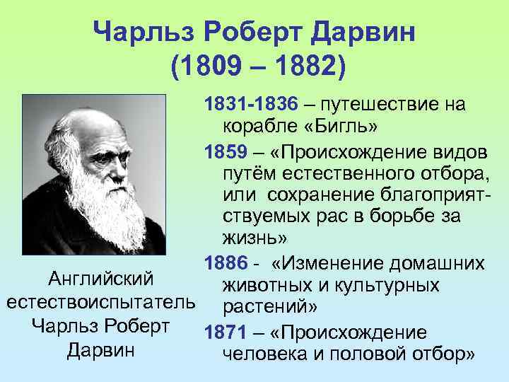 Чарльз Роберт Дарвин (1809 – 1882) 1831 -1836 – путешествие на корабле «Бигль» 1859