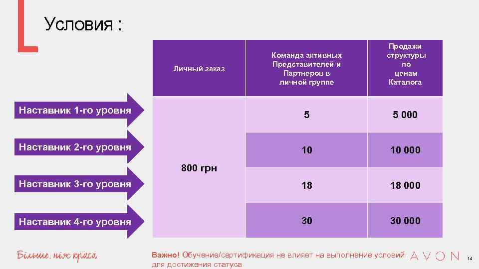 Бизнес план манипулятор