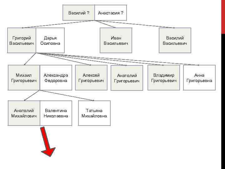 Василий ? Григорий Васильевич Дарья Осиповна Михаил Григорьевич Александра Федоровна Анатолий Михайлович Валентина Николаевна
