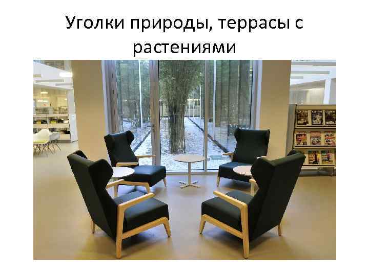 Уголки природы, террасы с растениями 