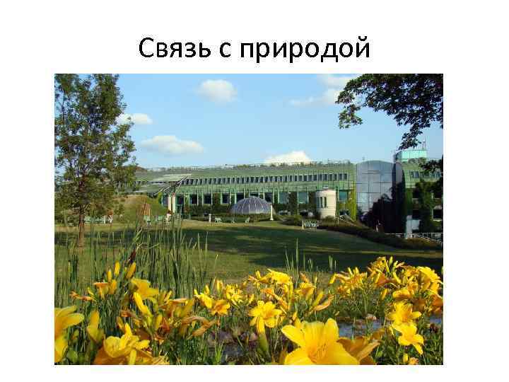 Связь с природой 