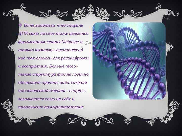  Есть гипотеза, что спираль ДНК сама по себе тоже является фрагментом ленты Мебиуса
