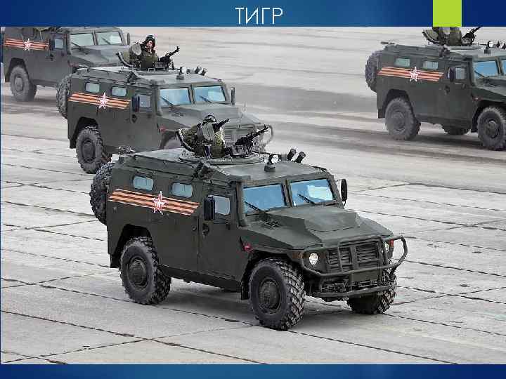 ТИГР 