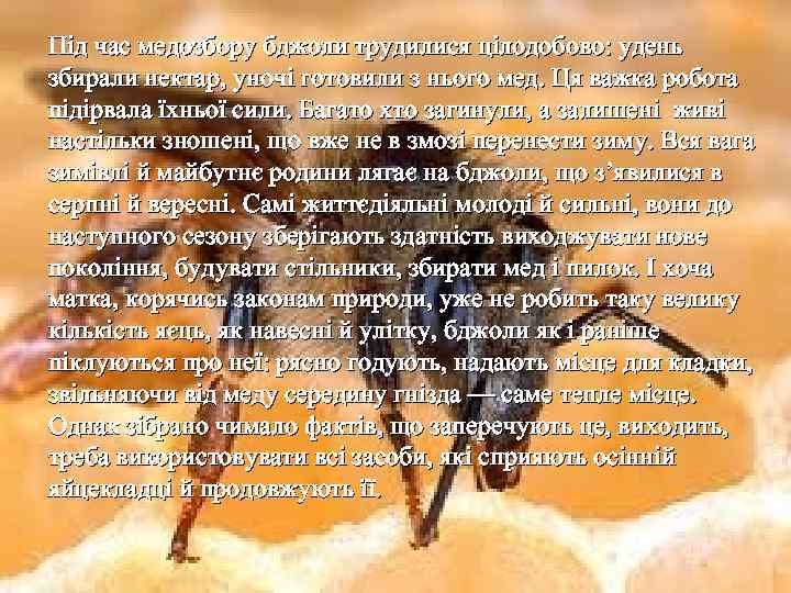 Під час медозбору бджоли трудилися цілодобово: удень збирали нектар, уночі готовили з нього мед.