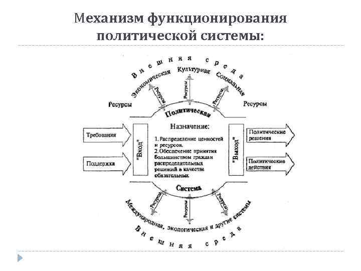 Жизнь политической системы