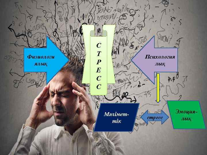 Физиологи ялық С Т Р Е С С Психология лық Мәліметтік стресс Эмоциялық 