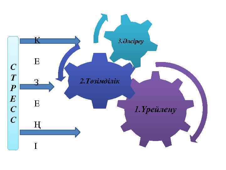 К С Т Р Е С С 3. Әлсіреу Е З Е Ң І
