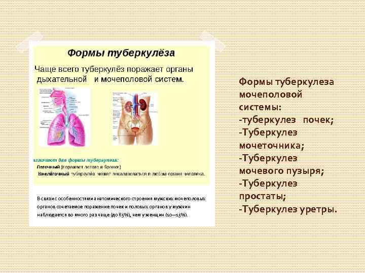 В связи с особенностями анатомического строения мужских мочеполовых органов сочетаемое поражение почек и половых