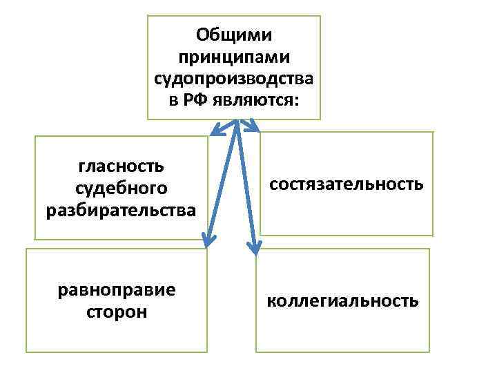 Конституционное содержание равноправия граждан в рф схема