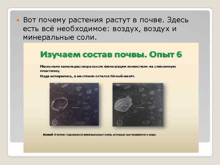  Вот почему растения растут в почве. Здесь есть всё необходимое: воздух, воздух и