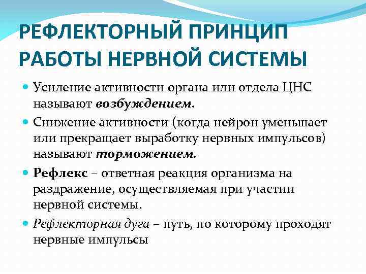 РЕФЛЕКТОРНЫЙ ПРИНЦИП РАБОТЫ НЕРВНОЙ СИСТЕМЫ Усиление активности органа или отдела ЦНС называют возбуждением. Снижение