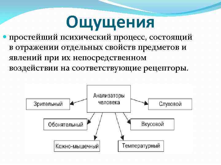 Закономерности ощущений схема