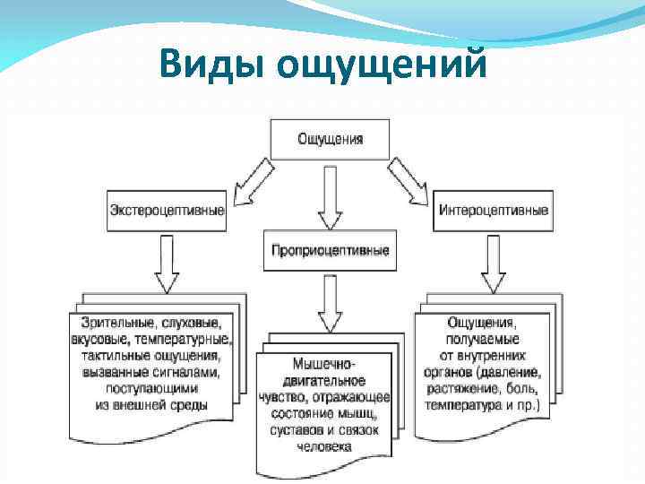 Формы ощущений в психологии