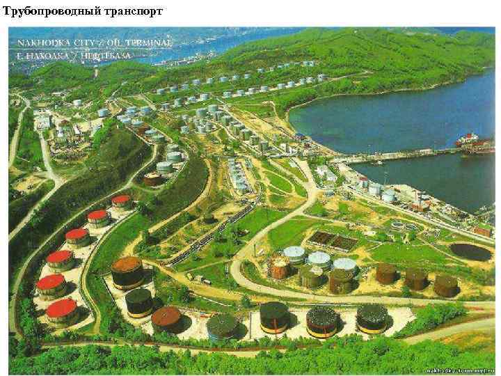 Трубопроводный транспорт 