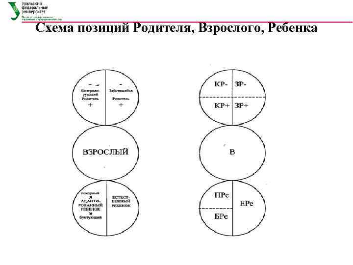 Схема родитель взрослый ребенок