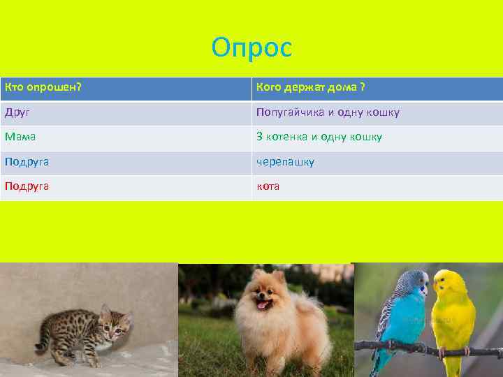 Опрос Кто опрошен? Кого держат дома ? Друг Попугайчика и одну кошку Мама 3