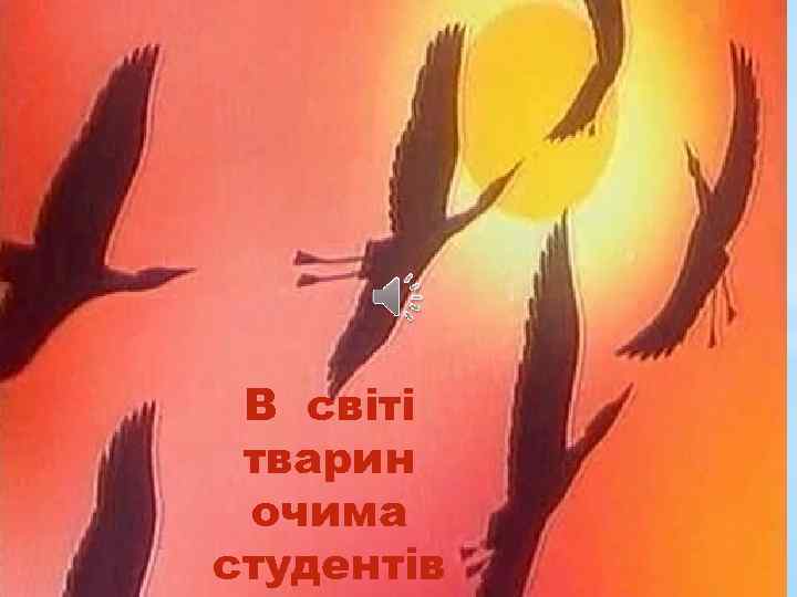 В світі тварин очима студентів 