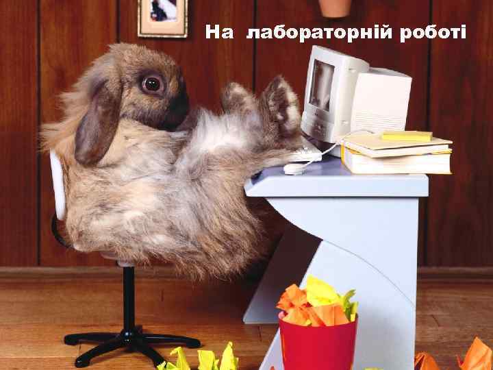 На лабораторній роботі 