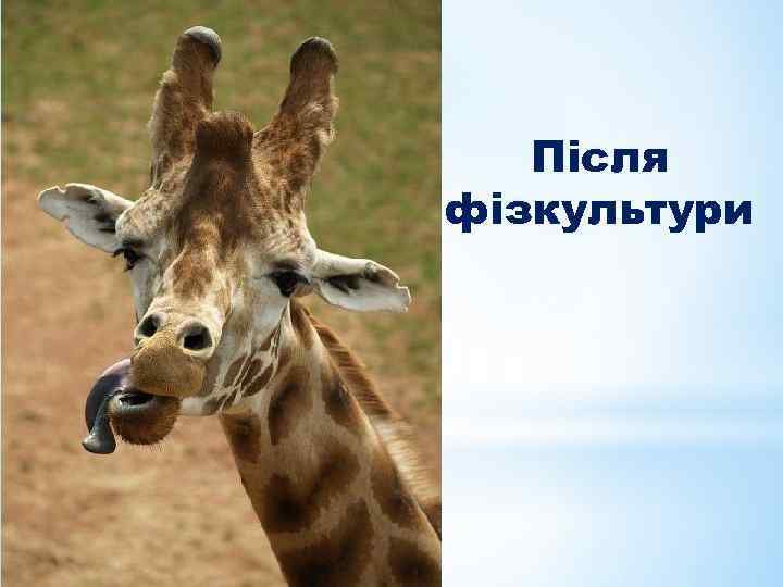 Після фізкультури 
